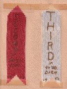 (Dan Dorrough) ribbons jumping & dashing